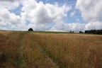 Mohrbachtal