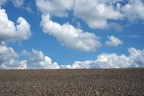 Himmel & Feld