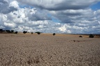 Weites Land