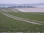Schneelandschaft