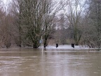Geflutete Wege