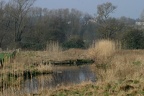 Landschaft