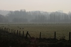 Ruhrwiesen