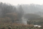 Ruhraue