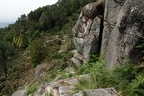 Bergwald