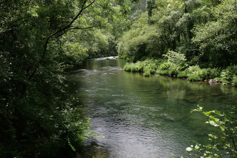 Flußlandschaft