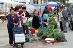Markt