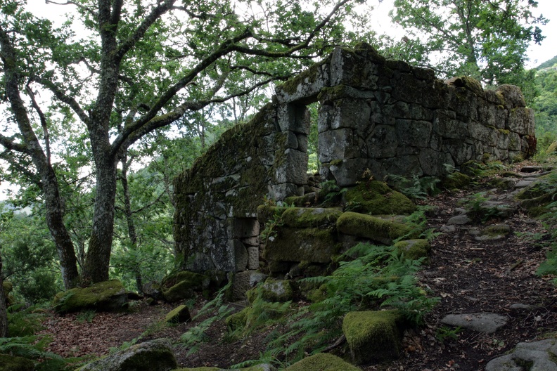 Steinhaus im Wald