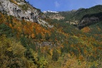 Gebirgswald (4974 visits) Valle de Vio: In den Tälern im Nationalpark Ordesa liegt Ende Oktober auf den Gipfeln schon Schnee,... Gebirgswald