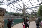 Hippodom 2