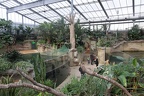 Hippodom 1