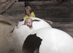 Spieplatz (1998 visits) Diergaarde Blijdorp Rotterdam: Auf diesem Spielplatz im Oceanium schlüpfen Kinder aus Eiern. Spieplatz