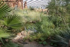 Wasserstelle Sonora (1989 visits) Burgers Zoo Arnheim: Wasserstelle mit Wüstenvegetation in der Wüstenhalle des Burgers Zoo. Wasserstelle Sonora