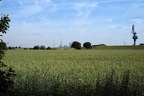Kornfeld vorm Kraftwerk Voerde