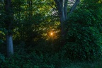Spotlight