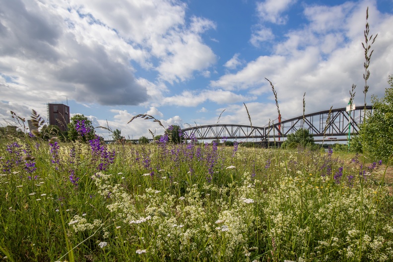 knipp_bruecke_3861.jpg