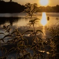 Sonnenuntergang Bertasee 2