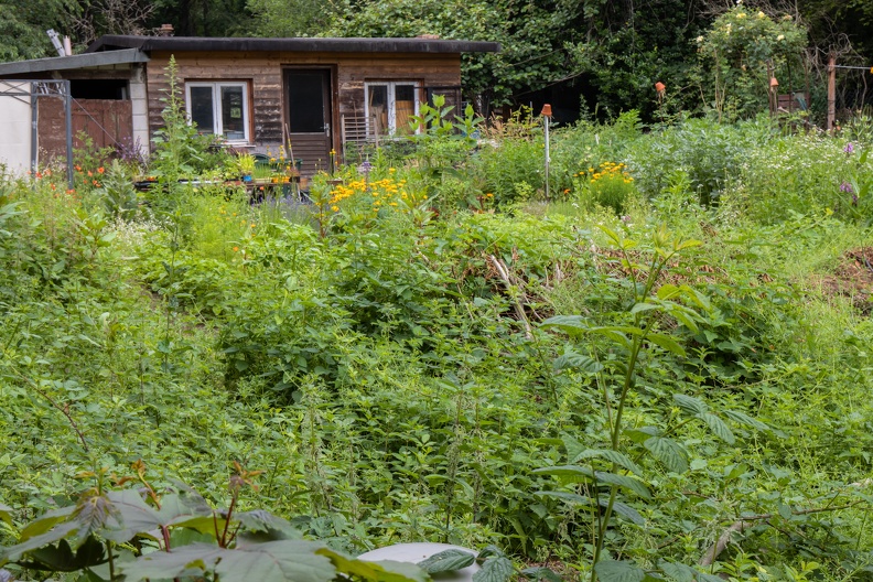 Ökö Schrebergarten