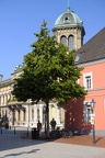 Im Schatten (1274 visits) Aus der Ferne wirken die Firguren im Schatten unterm Baum wie Menschen. Stadtbelebung durch Kunst. Im Schatten