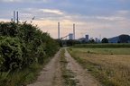 Auf dem Feldweg