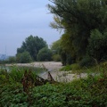 Am Rheinufer