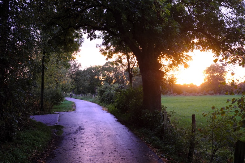 abendstimmung.jpg