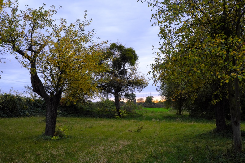 Streuobstwiese im Herbst