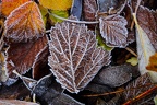 Herbst und Winter