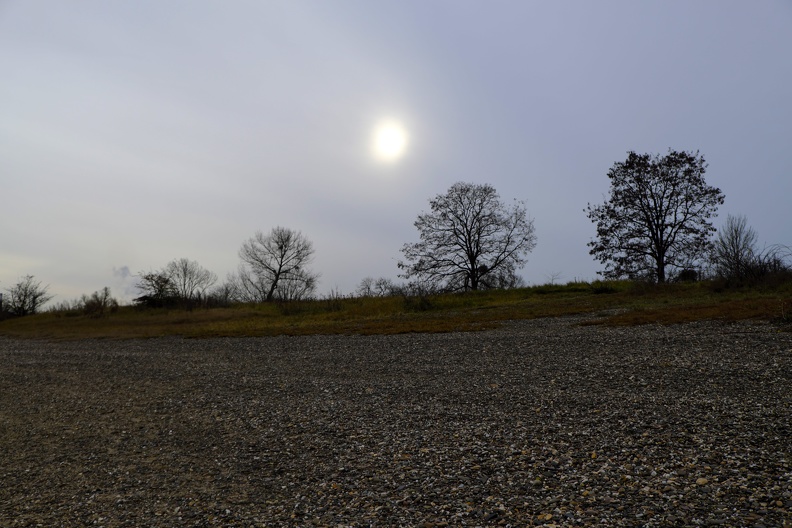 Genau um Weihnachten herum wird es am Niederrhein gerne trübe was das Wetter betrifft. ufer_und_baeume.jpg