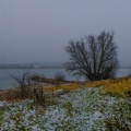 Rheinaue im Nebel