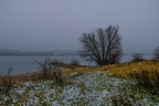 Rheinaue im Nebel (784 visits) Januar, die Sicht ist arg eingeschränkt. Aufsteigende Feuchtigkeit nach einer kalten Nacht führt z... Rheinaue im Nebel