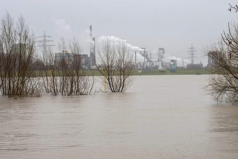 Rheinhochwasser