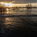Sonnenuntergang bei Hochwasser