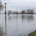 Hochwasser Ruhrort 