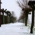 Roter Weg im Schnee