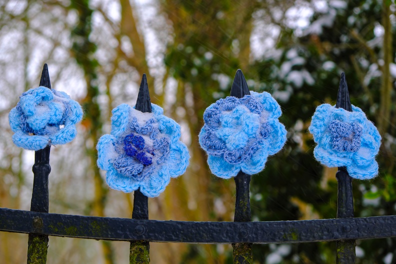 Eisblumen aus Baumwolle