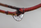 Wassertropfen