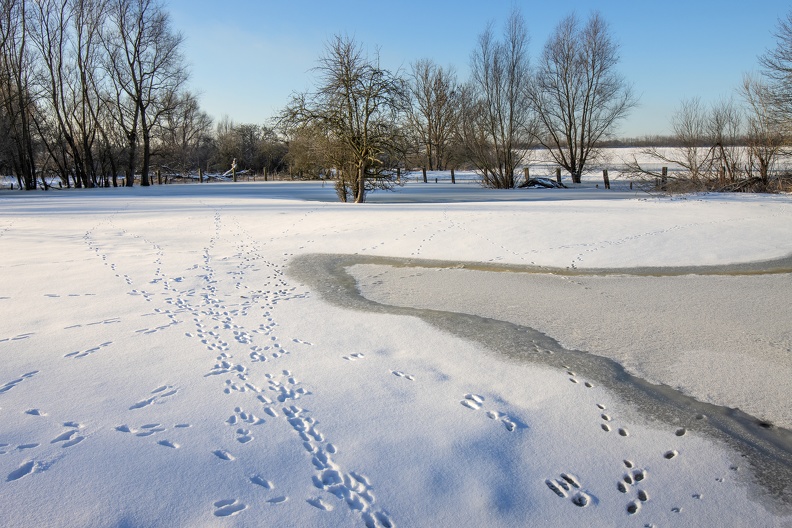 Spuren im Schnee