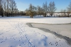 Spuren im Schnee