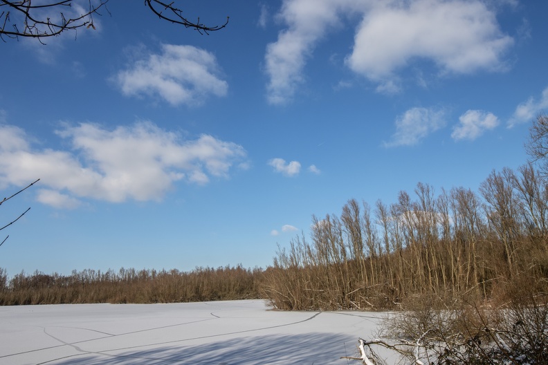 winterlandschaft_3361.jpg