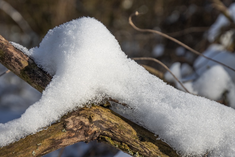 Schneeauflage