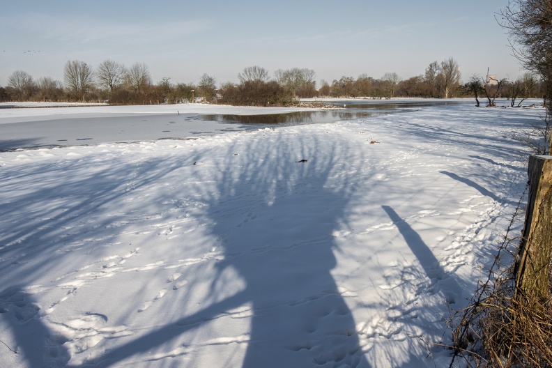 Auenbiotop im Winter