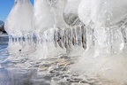 Eisgebilde am Baum (921 visits) Eisgebilde am Baum,beim Pegelhöchsstand enstanden.Bei fallendem Rheinpegel blieb die Eisplatte am B... Eisgebilde am Baum