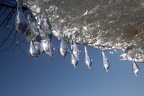 Eisgebilde (1055 visits) Eistropfen unter einer Eisplatte Eisgebilde