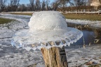 Eishut (1057 visits) Eishut am Zaunpfahl Eishut