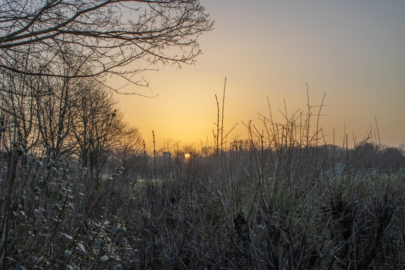 Sonnenaufgang Parkanlage