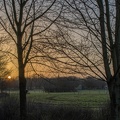 Bäume bei Sonnenaufgang