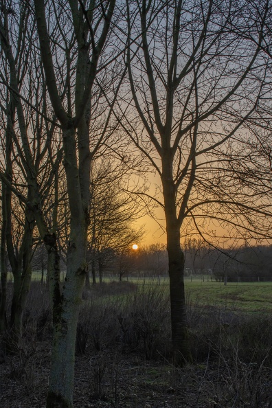 Sonnenaufgang über der Parkanlage zwischen Landschaftspark und Ingenhammshof in Meiderich sonnenaufgang_lapadu_5103.jpg