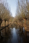 Schloßpark am Morgen