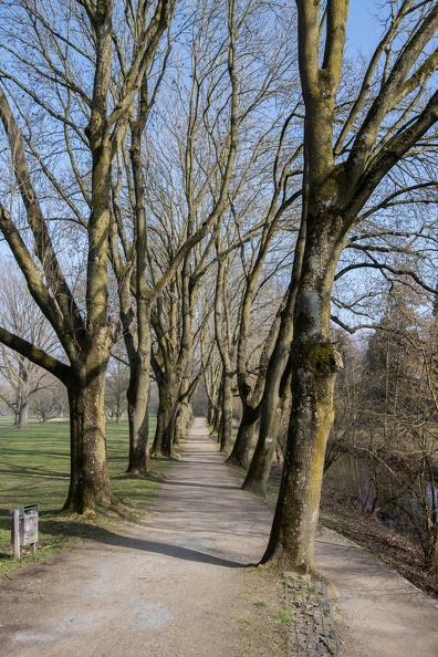 Eichenallee im Schloß- und Freizeitpark eichenallee_5876.jpg